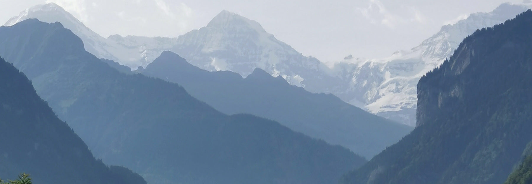 Küchenrückwand - Eigenes Wunsch-Motiv