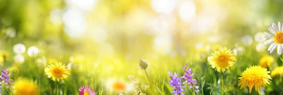 Küchenrückwand - Eigenes Wunsch-Motiv