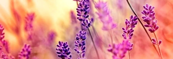 Küchenrückwand - Eigenes Wunsch-Motiv