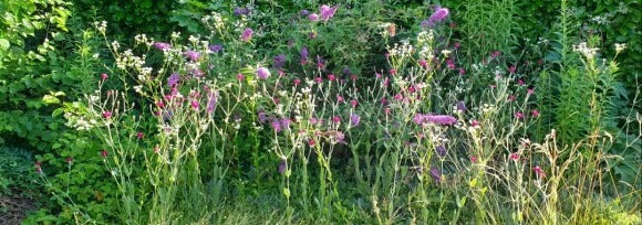 Küchenrückwand - Eigenes Wunsch-Motiv