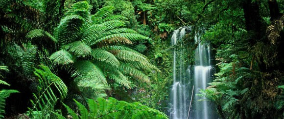 Küchenrückwand - Eigenes Wunsch-Motiv