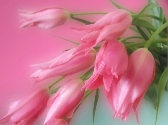 Küchenrückwand - Eigenes Wunsch-Motiv