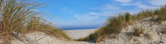 Küchenrückwand - Eigenes Wunsch-Motiv