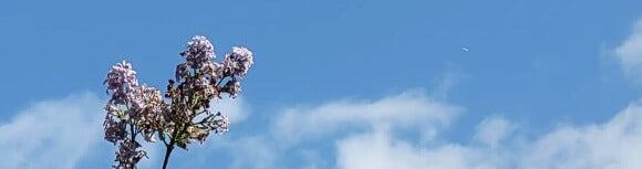 Küchenrückwand - Eigenes Wunsch-Motiv