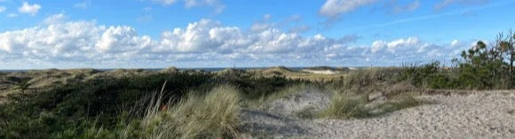 Küchenrückwand - Eigenes Wunsch-Motiv