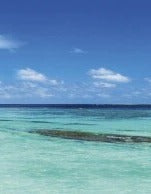 Küchenrückwand - Eigenes Wunsch-Motiv