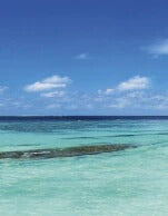 Küchenrückwand - Eigenes Wunsch-Motiv