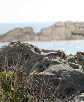 Küchenrückwand - Eigenes Wunsch-Motiv