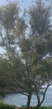 Duschrückwand - Eigenes Wunsch-Motiv