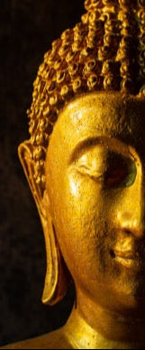 Duschrückwand - Eigenes Wunsch-Motiv