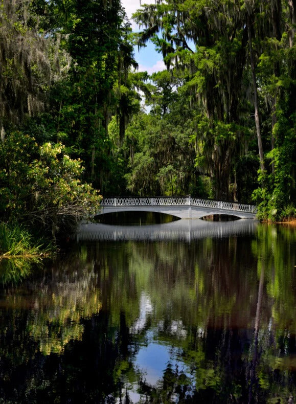 Duschrückwand - Eigenes Wunsch-Motiv