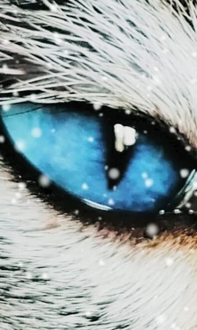 Duschrückwand - Eigenes Wunsch-Motiv