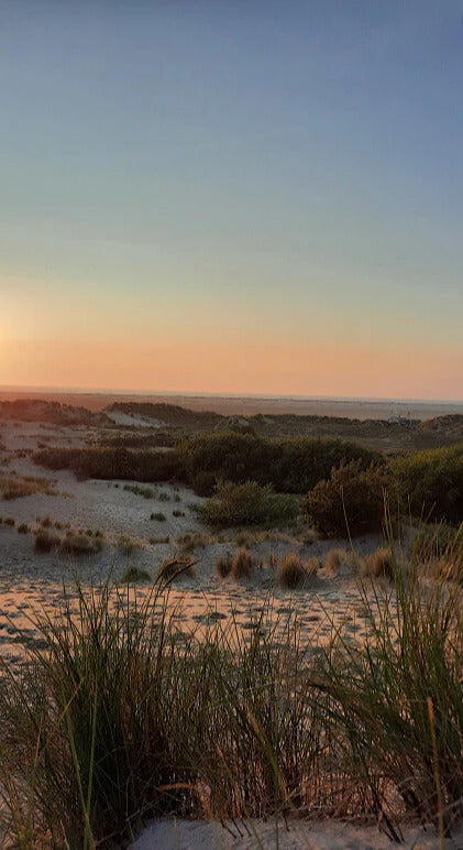 Duschrückwand - Eigenes Wunsch-Motiv
