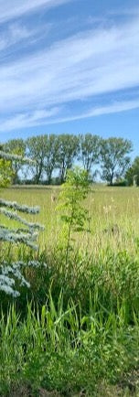 Duschrückwand - Eigenes Wunsch-Motiv