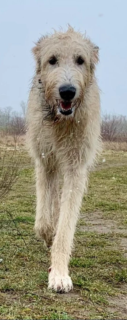 Duschrückwand - Eigenes Wunsch-Motiv