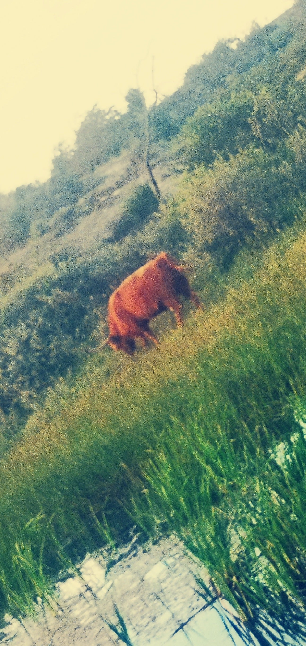 Duschrückwand - Eigenes Wunsch-Motiv