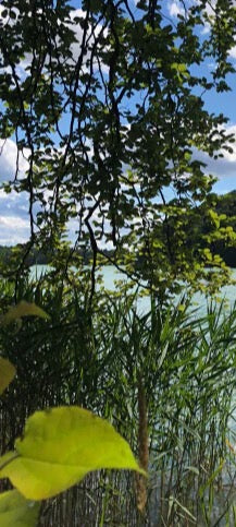 Duschrückwand - Eigenes Wunsch-Motiv