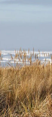 Duschrückwand - Eigenes Wunsch-Motiv