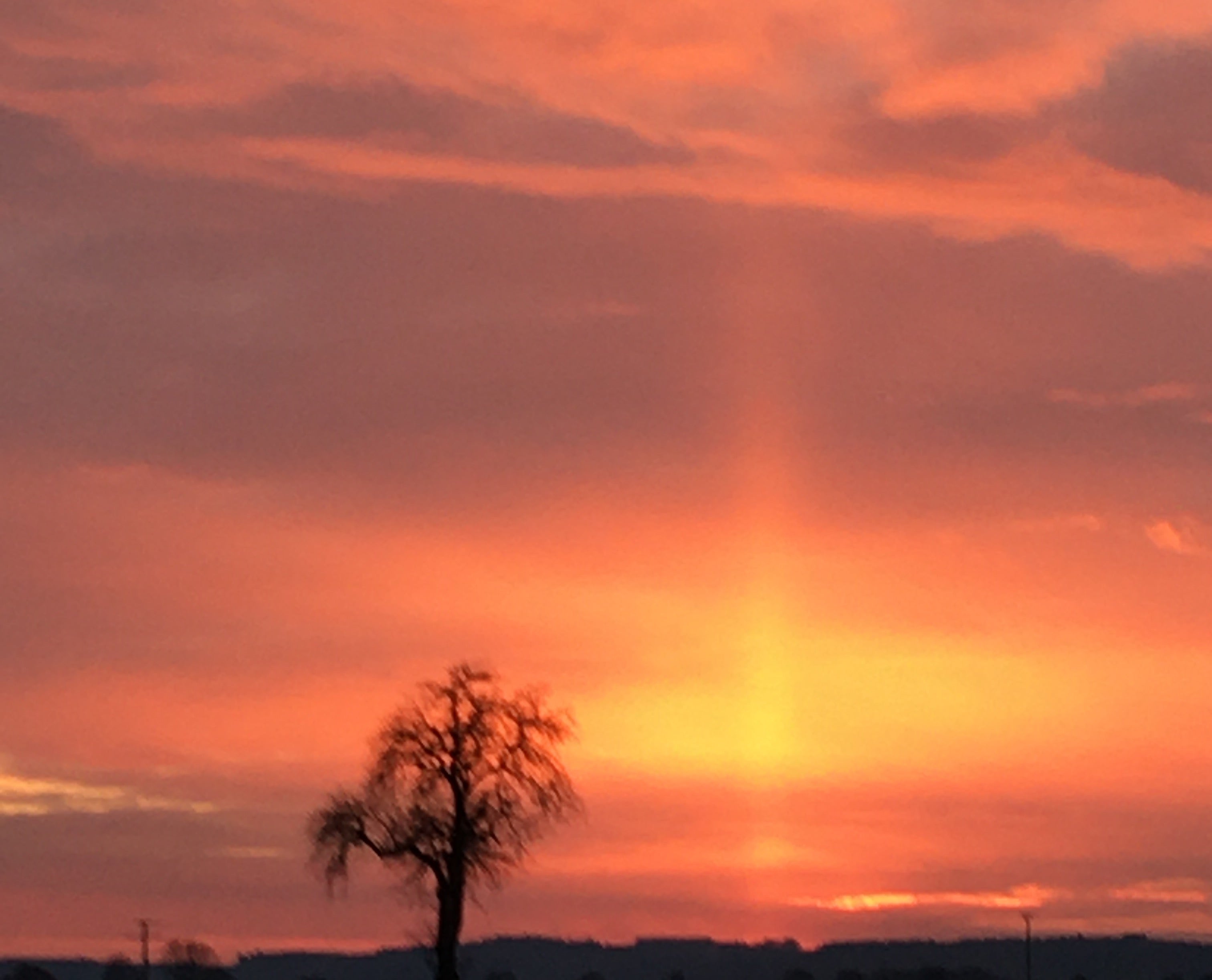 Spritzschutz - Eigenes Wunsch-Motiv