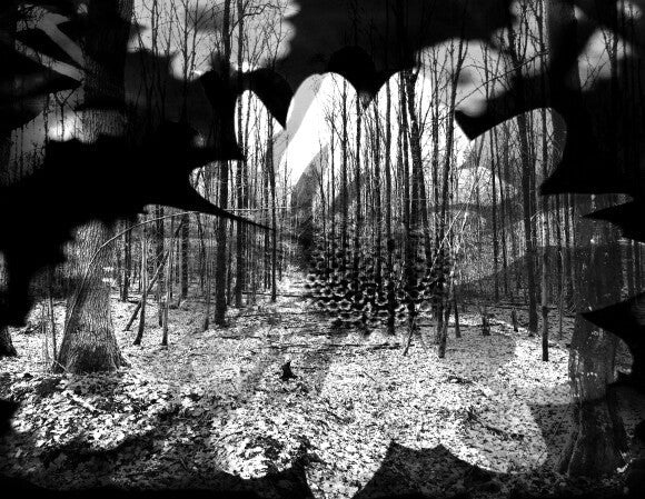 Spritzschutz - Eigenes Wunsch-Motiv