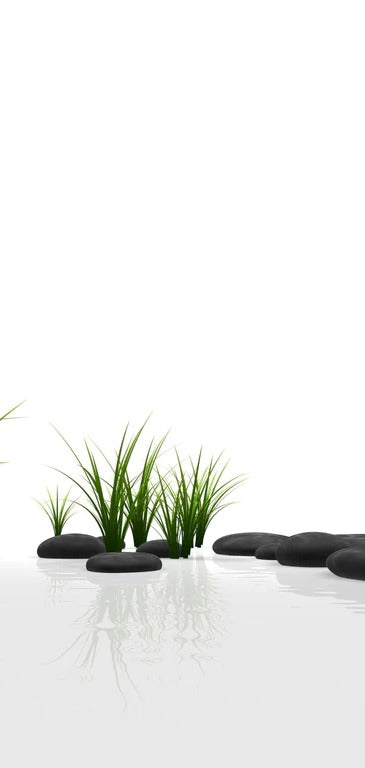 Duschrückwand - Ruhiges Steine Gefilde mit Gras und Wasser