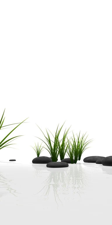 Duschrückwand - Ruhiges Steine Gefilde mit Gras und Wasser