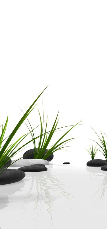 Duschrückwand - Ruhiges Steine Gefilde mit Gras und Wasser