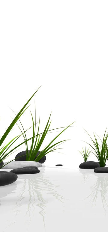 Duschrückwand - Ruhiges Steine Gefilde mit Gras und Wasser