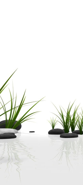 Duschrückwand - Ruhiges Steine Gefilde mit Gras und Wasser