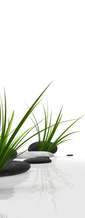Duschrückwand - Ruhiges Steine Gefilde mit Gras und Wasser
