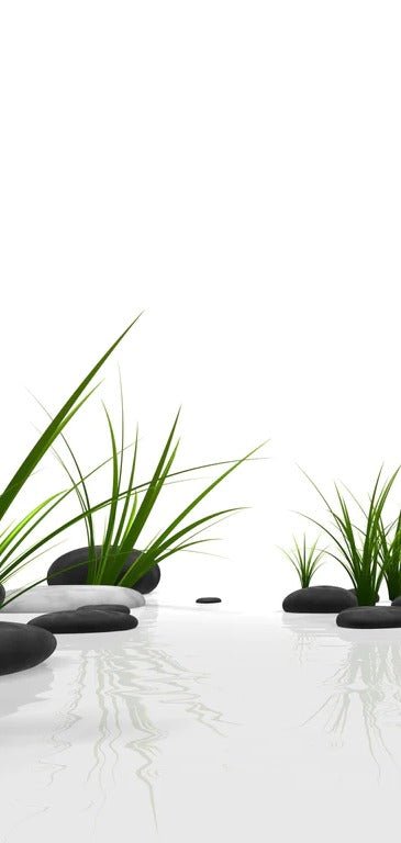 Duschrückwand - Ruhiges Steine Gefilde mit Gras und Wasser