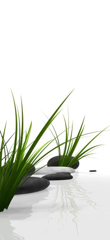 Duschrückwand - Ruhiges Steine Gefilde mit Gras und Wasser