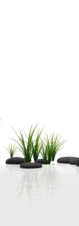 Duschrückwand - Ruhiges Steine Gefilde mit Gras und Wasser