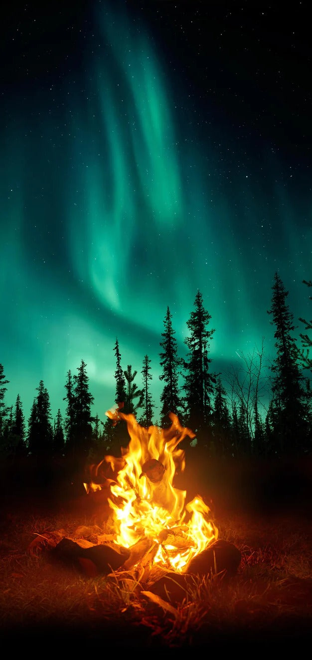 Duschrückwand - Lagerfeuer mit Nordlichtern in den Wäldern Schwedens