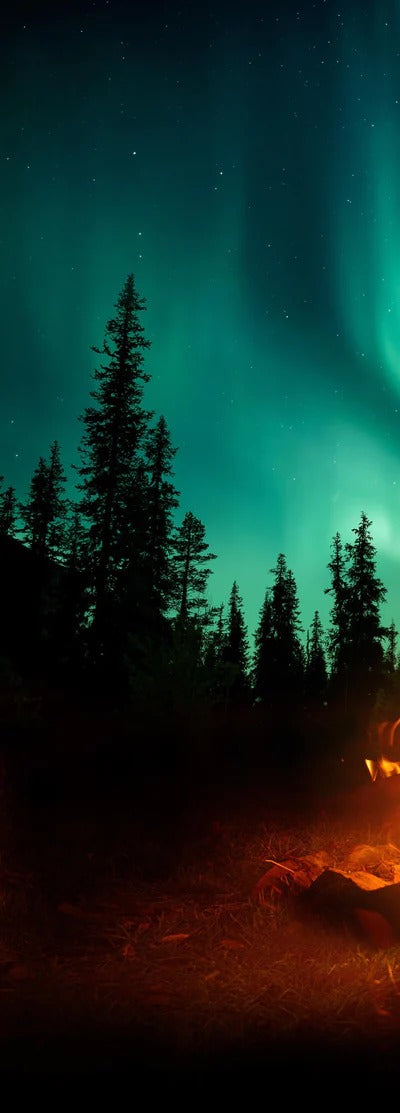 Duschrückwand - Lagerfeuer mit Nordlichtern in den Wäldern Schwedens