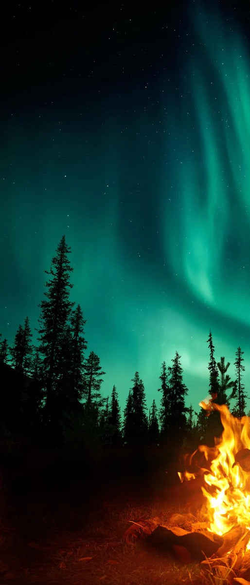Duschrückwand - Lagerfeuer mit Nordlichtern in den Wäldern Schwedens