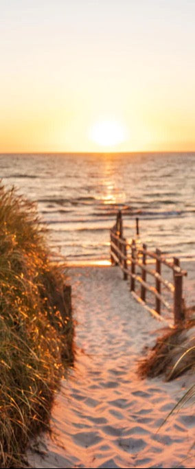 Duschrückwand - Dünen am Strand an der Nordsee bei Sonnenuntergang