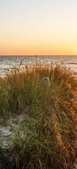 Duschrückwand - Dünen am Strand an der Nordsee bei Sonnenuntergang