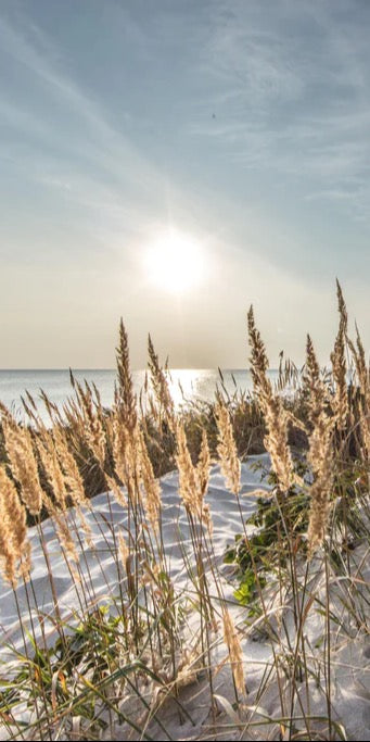 Duschrückwand - Friedlicher Ausblick an der Ostseeküste