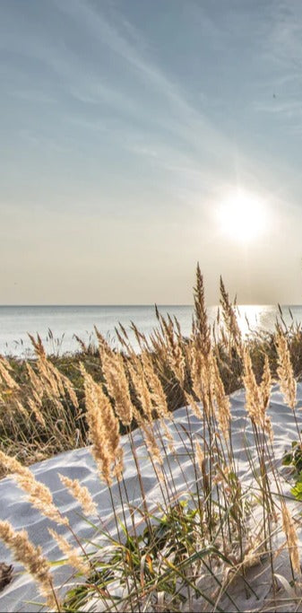 Duschrückwand - Friedlicher Ausblick an der Ostseeküste