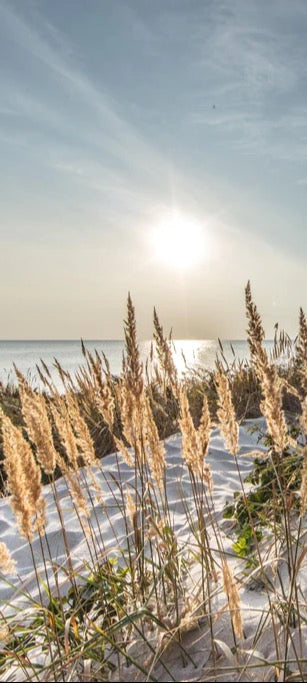 Duschrückwand - Friedlicher Ausblick an der Ostseeküste