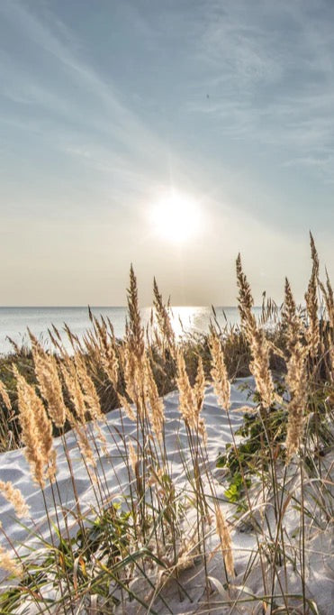 Duschrückwand - Friedlicher Ausblick an der Ostseeküste