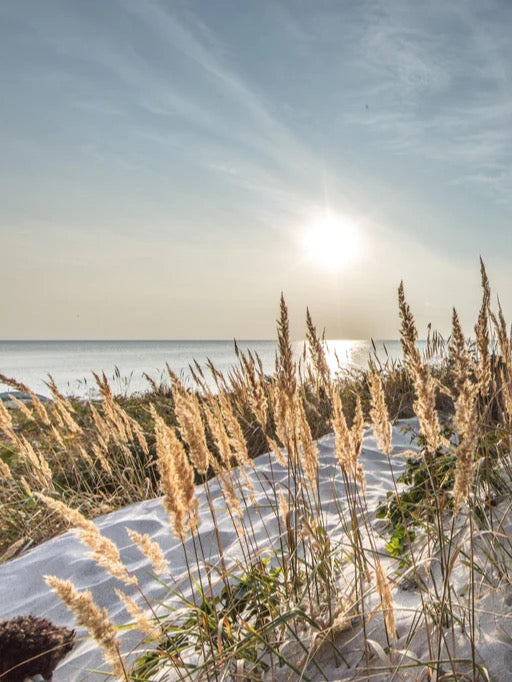Duschrückwand - Friedlicher Ausblick an der Ostseeküste