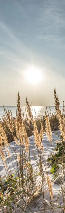 Duschrückwand - Friedlicher Ausblick an der Ostseeküste