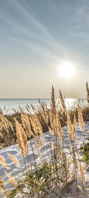 Duschrückwand - Friedlicher Ausblick an der Ostseeküste