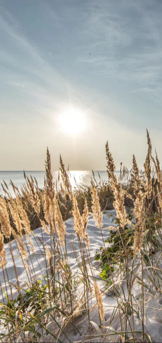 Duschrückwand - Friedlicher Ausblick an der Ostseeküste