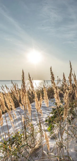 Duschrückwand - Friedlicher Ausblick an der Ostseeküste