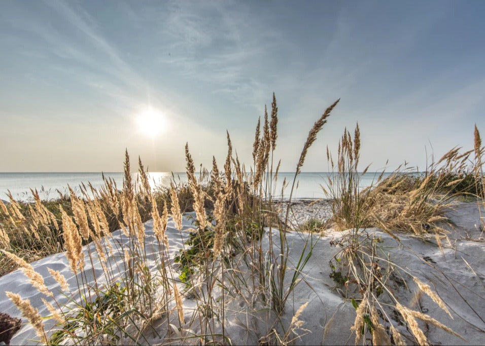 Duschrückwand - Friedlicher Ausblick an der Ostseeküste