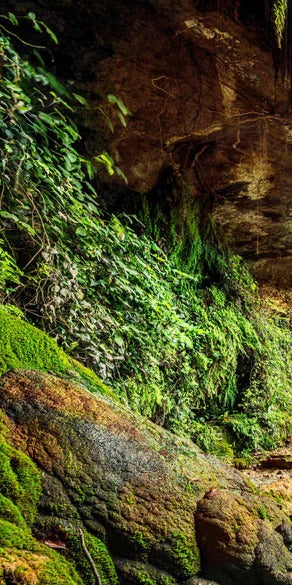 Duschrückwand - Kaskade mit klarem Bach im Libanon