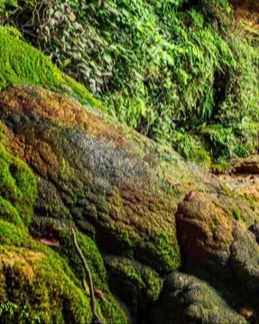 Duschrückwand - Kaskade mit klarem Bach im Libanon